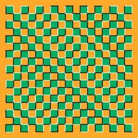 24-optical-illusion.jpg