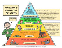 maslows-hierarchy-of-needs.jpg