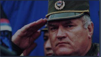 BASED.SERB.png
