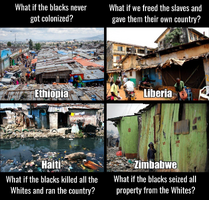 What if Niggers werent colonized