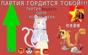 1706904258236.jpeg