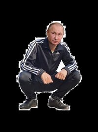 putin-gopnik-donna-belle.jpg