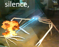 Silence crab