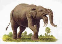 Deinotherium