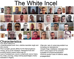 image-9.png