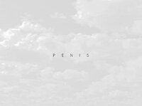 Penis