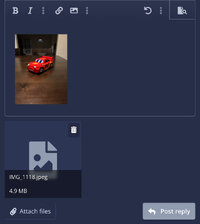 IMG_2772.jpeg