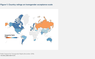 1612-Support-for-Trans-FIG-1-e1586464876412.png