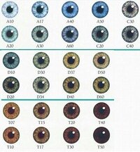 Eyecolor