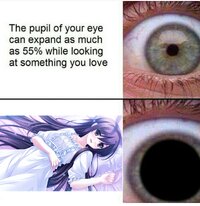 1480960576750