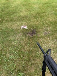IMG_0103.jpeg