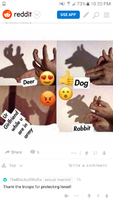 brutul.png