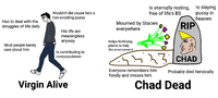 cb7xs2ysdom11.png