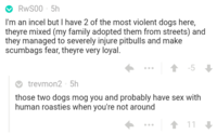 chad dog.png