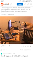 dogpilled again.png