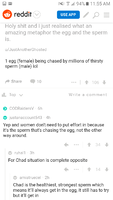egg and sperm.png