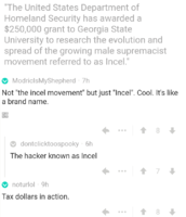 gov vs incels.png