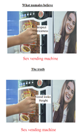 incels are the furthest think from niceguys.png