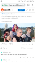 it trannies.png