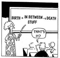 meaning-of-life.jpg