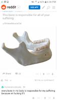 responsible bone.png