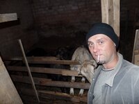 Degeneratas