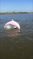 1575990504309.png