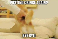 Doge cringe