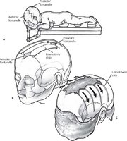 c163-01.jpg