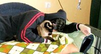 Miauxiu