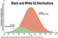 iq5 - Copy.jpg