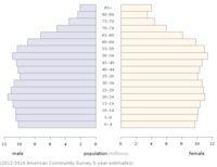 Us population pyramid