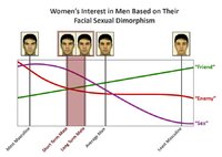 900px Facial sexual dimorphism