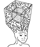 Cube brain