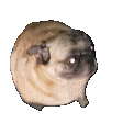 720241177533612042