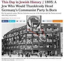 Antifascist jew