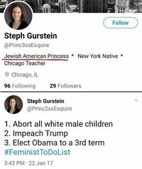 Jewish feminist abort all male whites elect obama