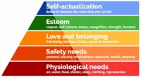 Maslow hierachy of needs min