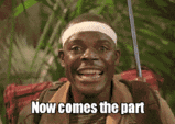 giphy (43).gif