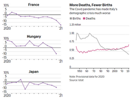 https___images.saymedia-content.com_.image_MTc5NzQ5NDY3OTIxMDY1MjQw_more-deaths-fewer-births.png