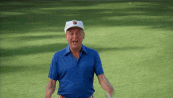 giphy (2).gif