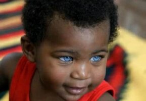blue eyed black..jpg