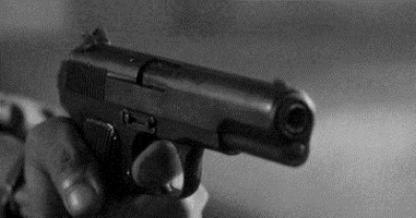 die gunshots.gif