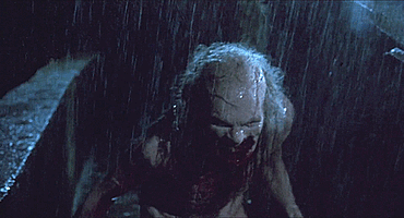 tumblr_4bf9906c70b4ae1a6bbc1056b2b04c1d_db8767f3_500.gif