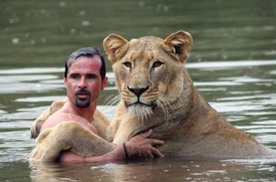 Swim