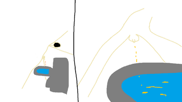 pp.png
