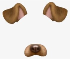 10-100069_overlay-snapchat-and-dog-image-dog-ears-snapchat.jpg