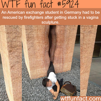 fun-facts-american-exchange-student-got-stuck-in-a-vagina.png