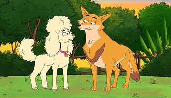 Coyote