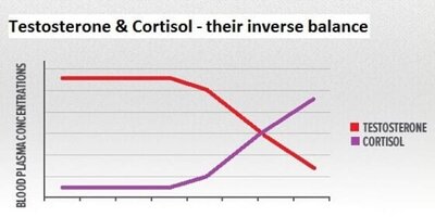 Copy-of-testosterone-cortisol.jpg
